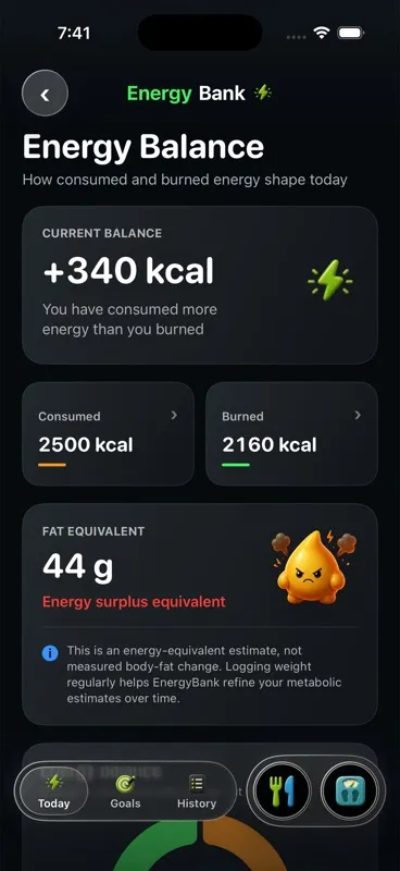 Energy Bank iPhone energy balance detail screen