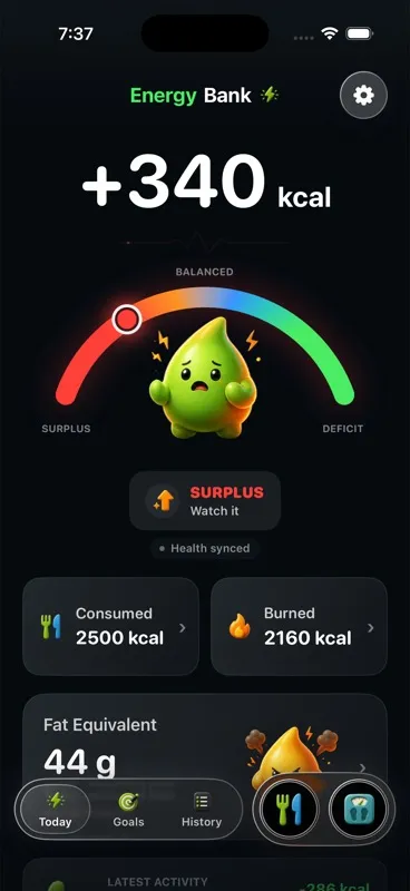Energy Bank iPhone today screen